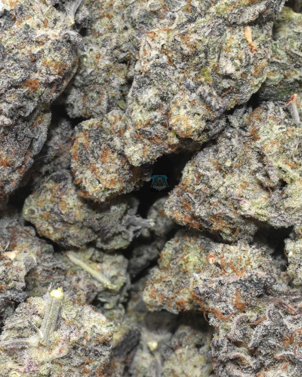 Miracle Alien Cookies weed online Canada for sale online at Chronic Farms weed dispensary and mail order marijuana pot shop for BC cannabis, Alberta Cannabis, dab pen, shatter, and weed vapes.