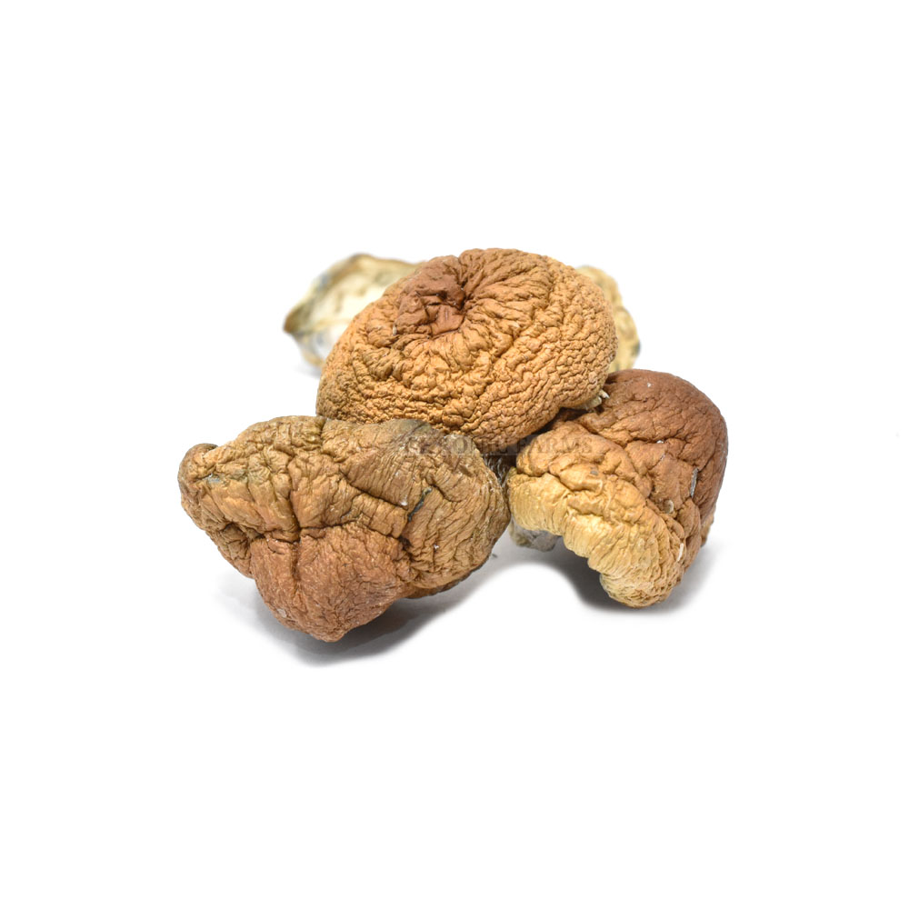 buy-blue-meanies-online-weed-dispensary-www.chronicfarms.cc-mushrooms-sale