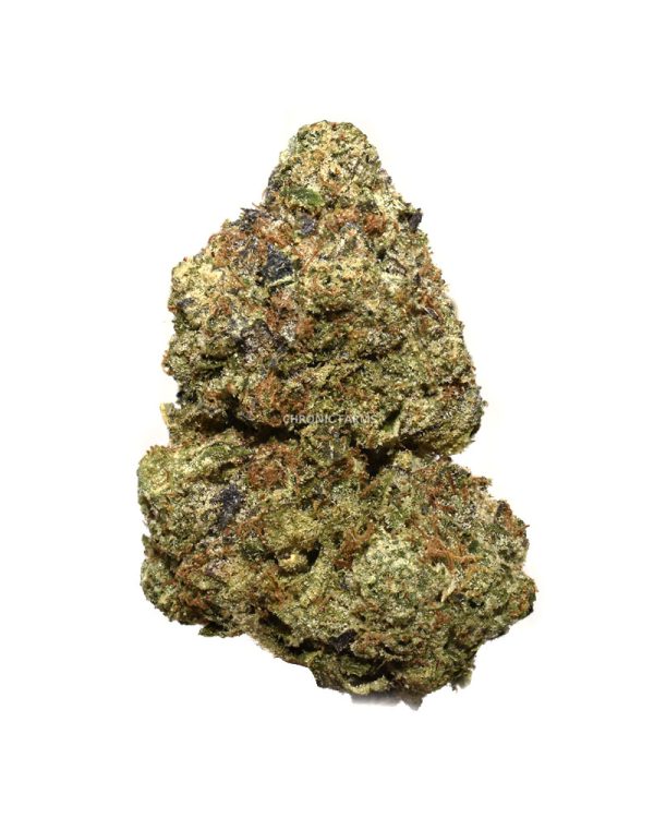 BUY-COMATOSE-OG-AAA-AT-CHRONICFARMS.CC-ONLINE-WEED-DISPENSARY-IN-BC-CANADA