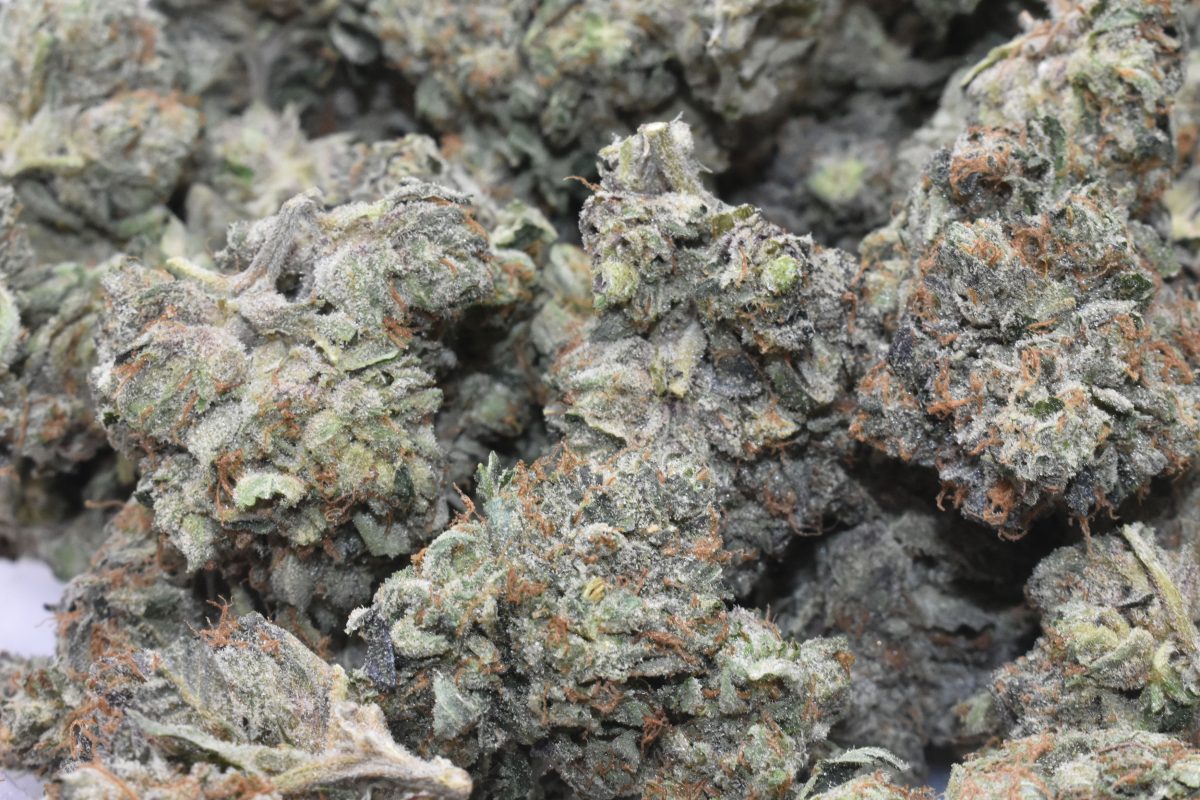 BUY-KING-LOUIS-XIII-AT-CHRONICFARMS.CO-ONLINE-WEED-DISPENSARY