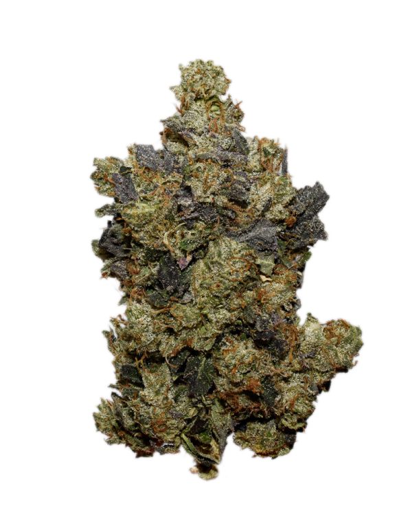 UBC Chemo AAAA+
