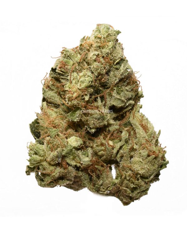 BUY-AK-47-AA-AT-CHRONICFARMS.CC-ONLINE-WEED-DISPENSARY-IN-BC