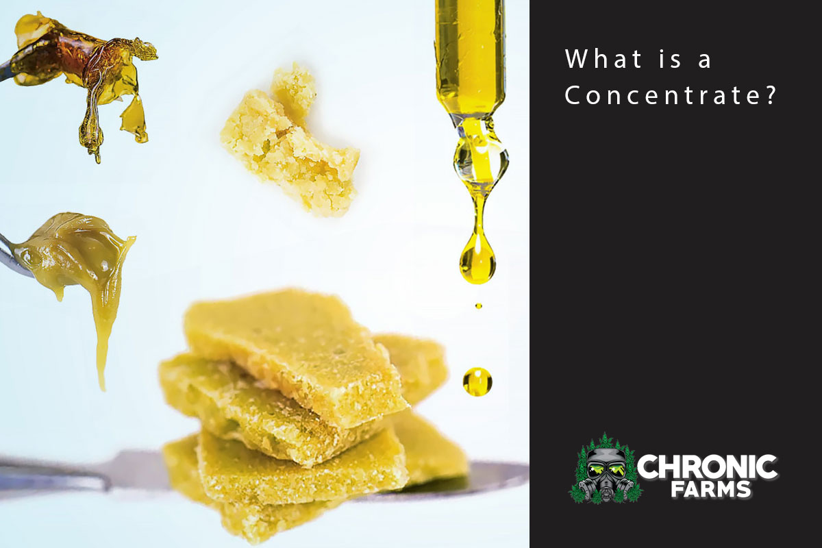 What is a Concentrate?
