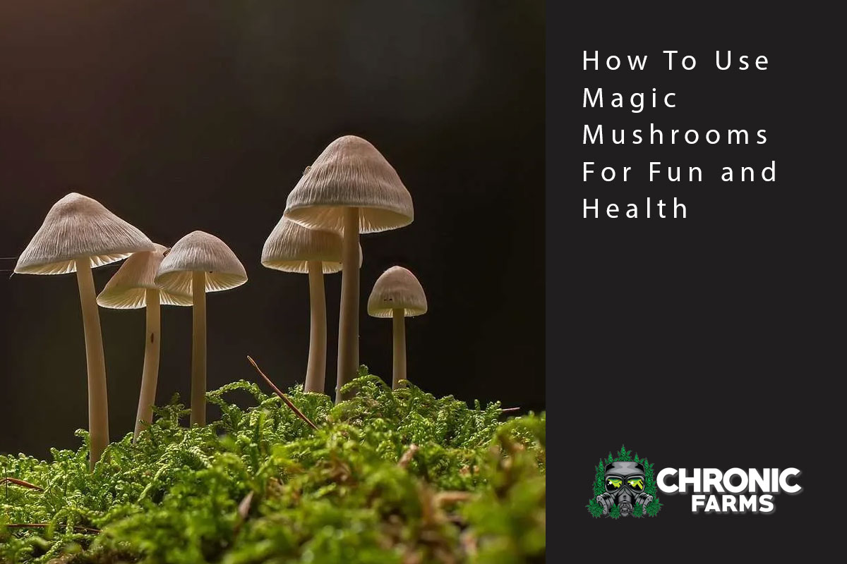 How To Use Magic Mushrooms For Fun and Health