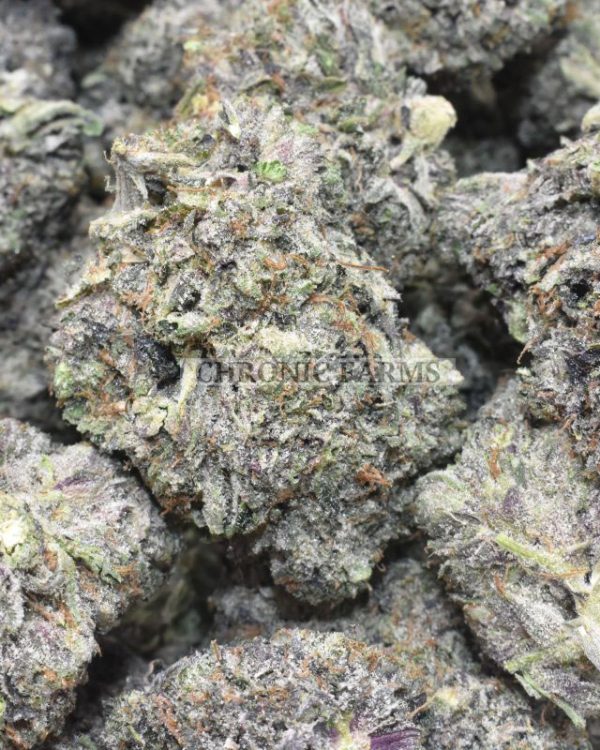 buy-gods-gift-quads-online-at-chronicfarms-weed-dispensary