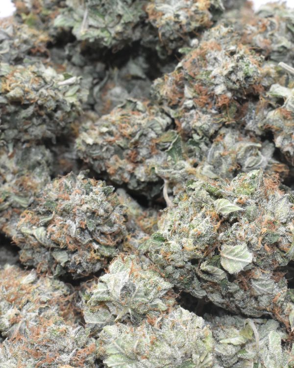 Green Crack aaa weed online Canada for sale online at Chronic Farms weed dispensary and mail order marijuana pot shop for BC cannabis, Alberta Cannabis, dab pen, shatter, and weed vapes.