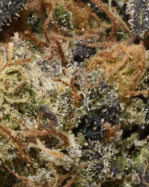 BUY-PINK-DEATH-STAR-AT-CHRONICFARMS.CC-ONLINE-WEED-DISPENSARY-IN-BC