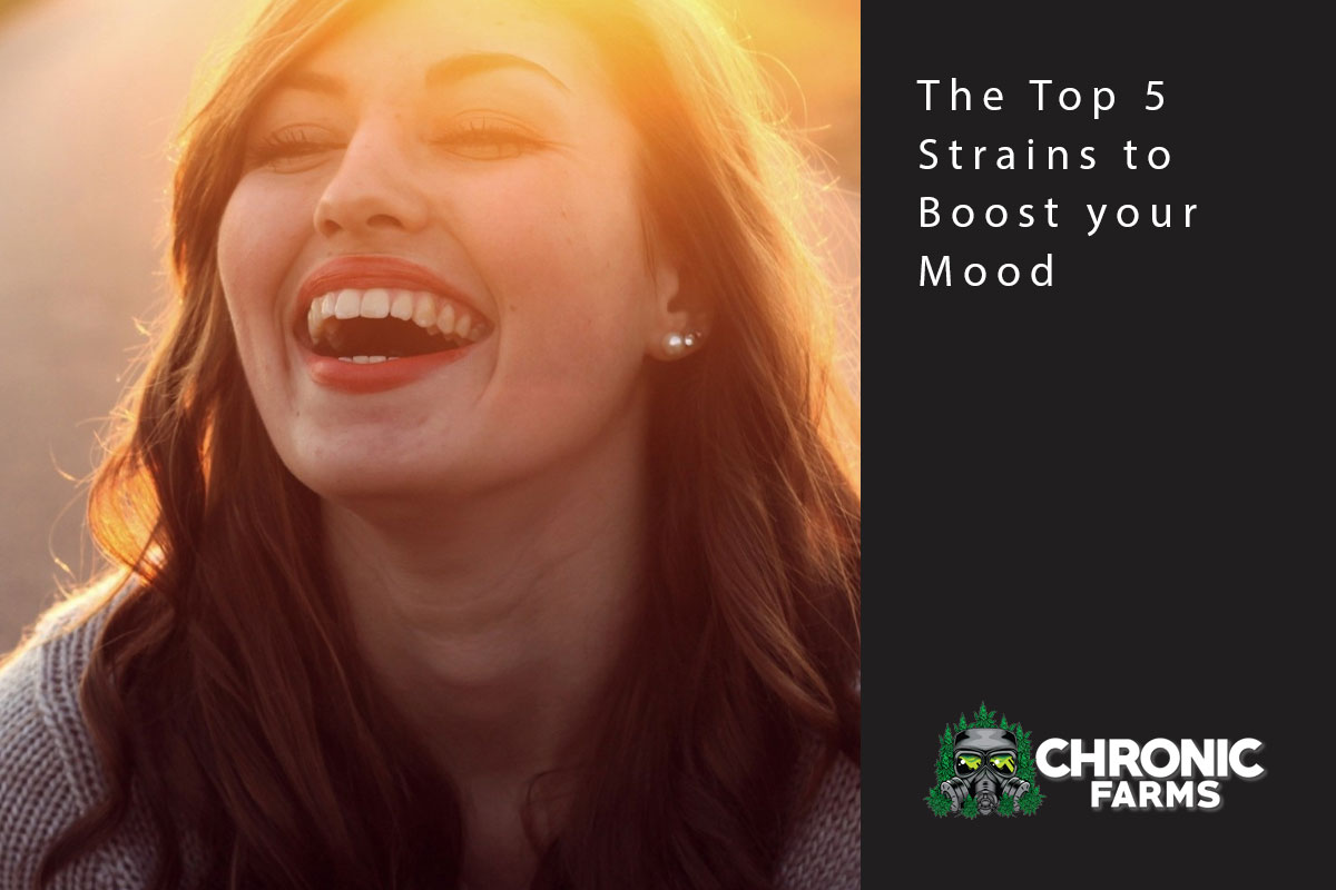 The Top 5 Strains to Boost your Mood