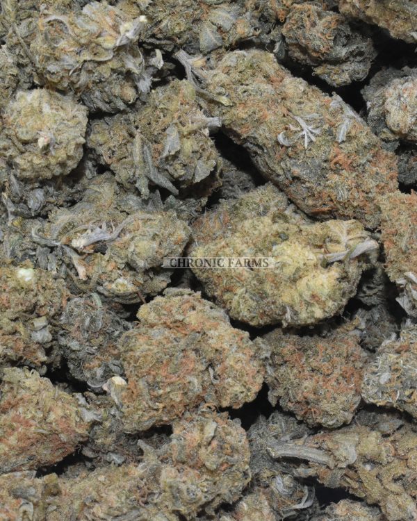 buy-cookies-&-cream-at-chronicfarms.cc-online-weed-dispensary