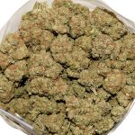 Key Lime Cookies AA Bag