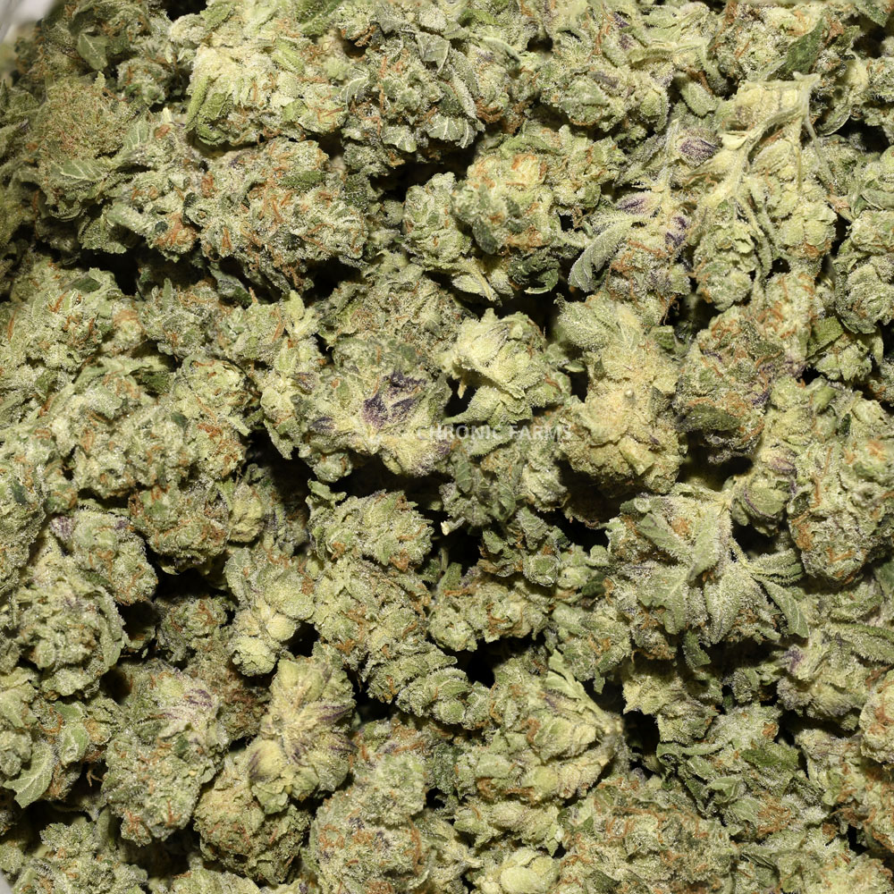 buy-fruity-pebbles-og-popcorn-at-chronicfarms.cc-online-weed-dispensary-in-bc