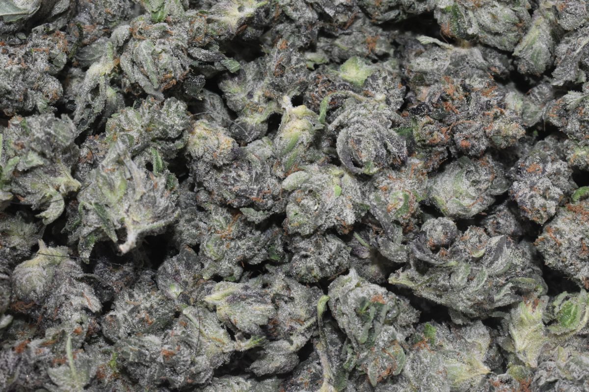 buy-fruity-pebbles-og-popcorn-at-chronicfarms.cc-online-weed-dispensary
