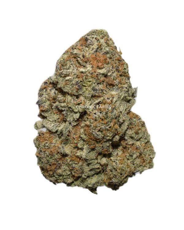 BUY PINEAPPLE EXPRESS CANNABIS AT CHRONICFARMS.CC ONLINE WEED DISPENSARY IN CANADA