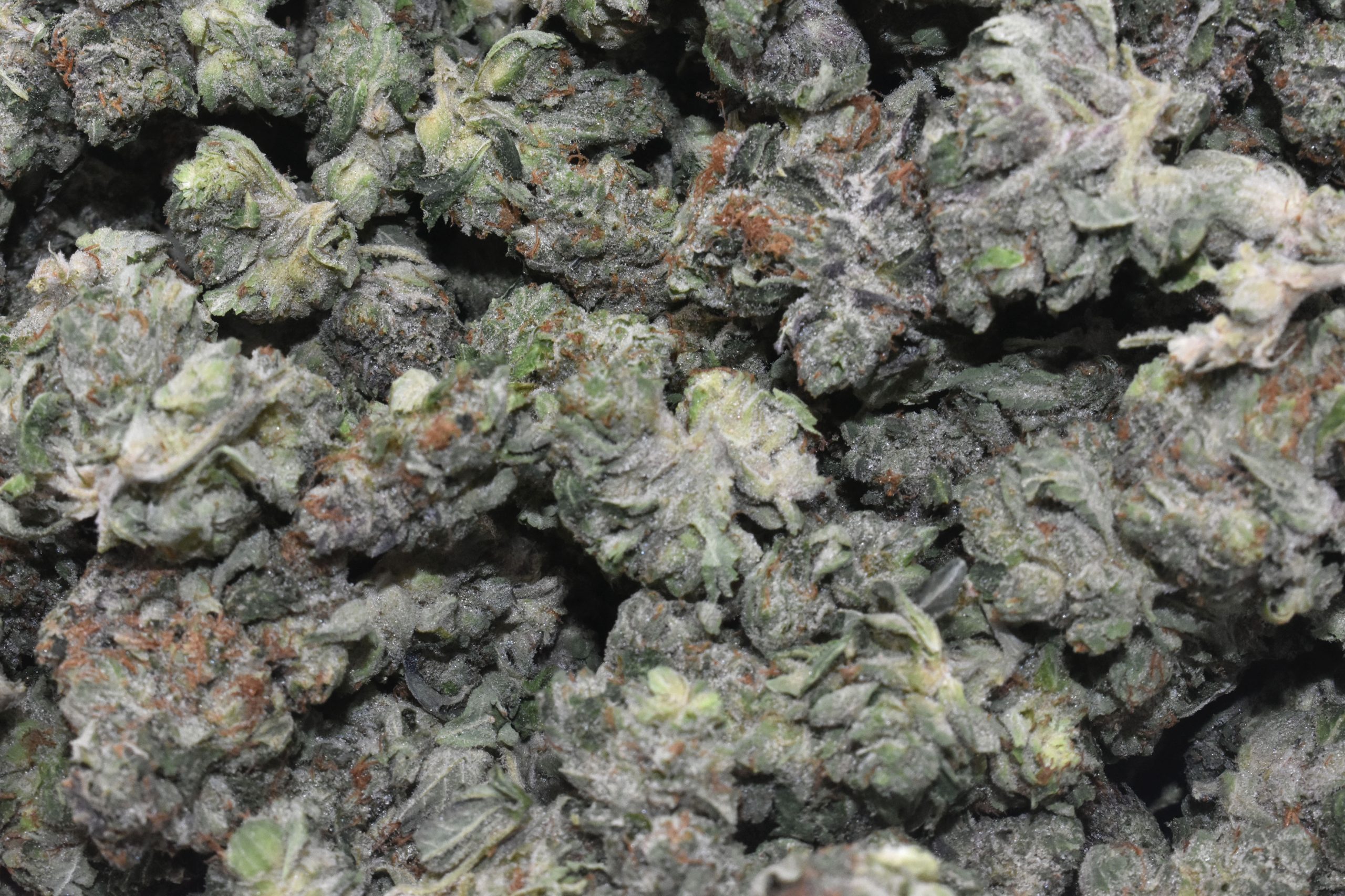 buy-pink-diablo-popcorn-online-at-chronicfarms.cc-online-weed-dispensary