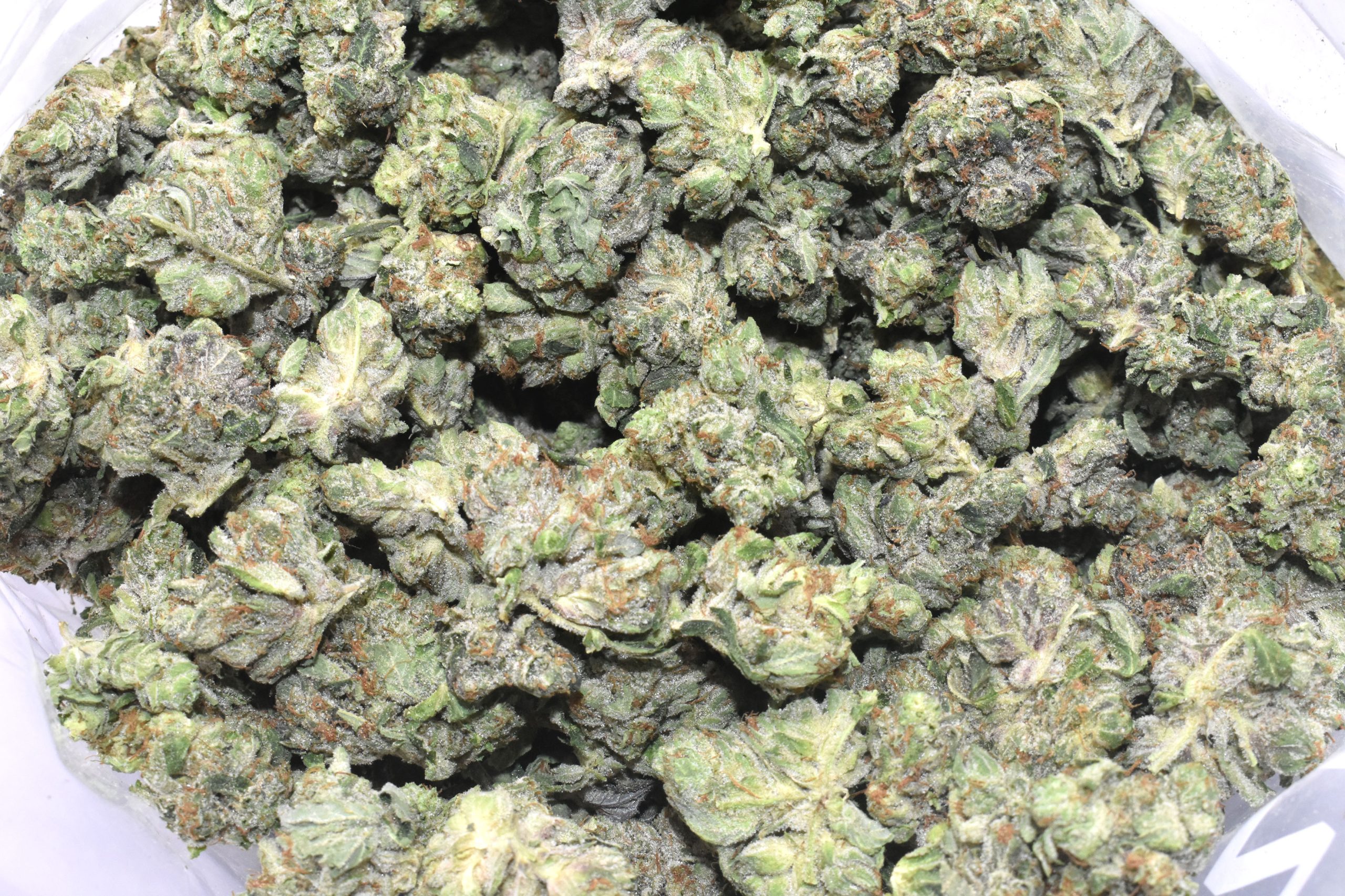 buy-purple-punch-online-at-chronicfarms.cc-online-weed-dispensary