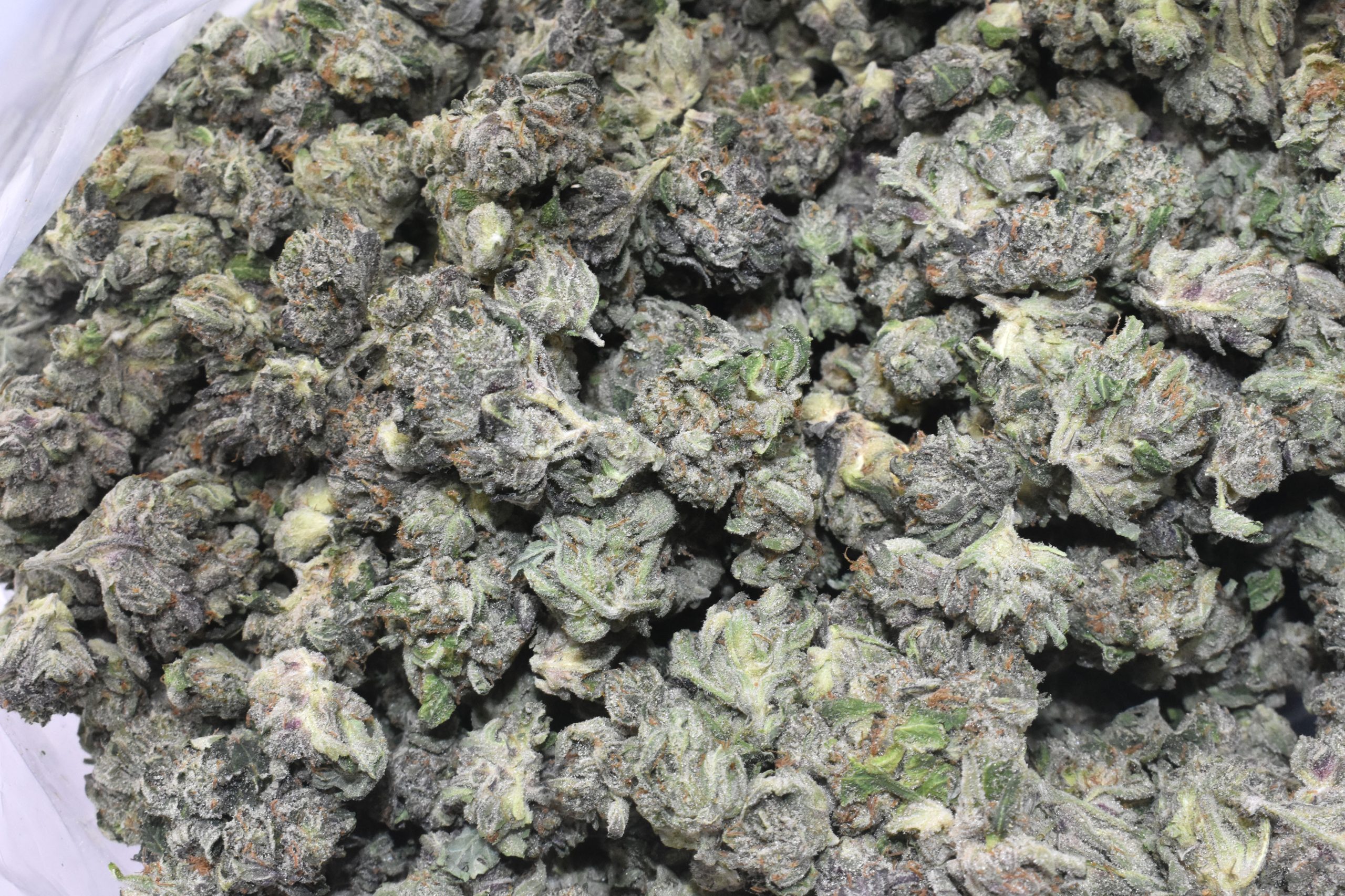 buy-purple-sunset-popcorn-online-at-chronicfarms.cc-online-weed-dispensary
