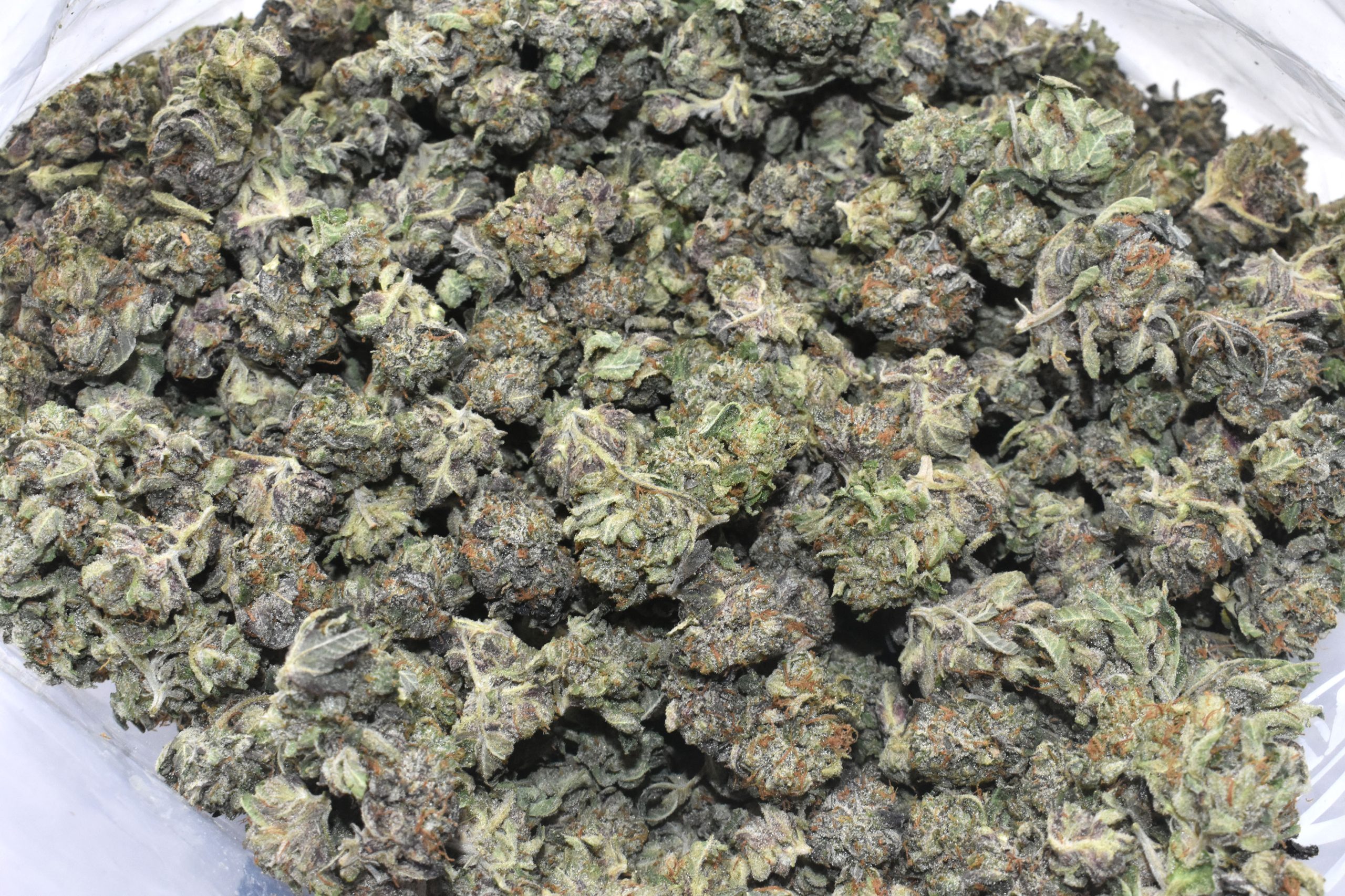 buy-purple-candy-quad-popcorns-at-chronicfarms.cc-online-weed-dispensary-in-canada