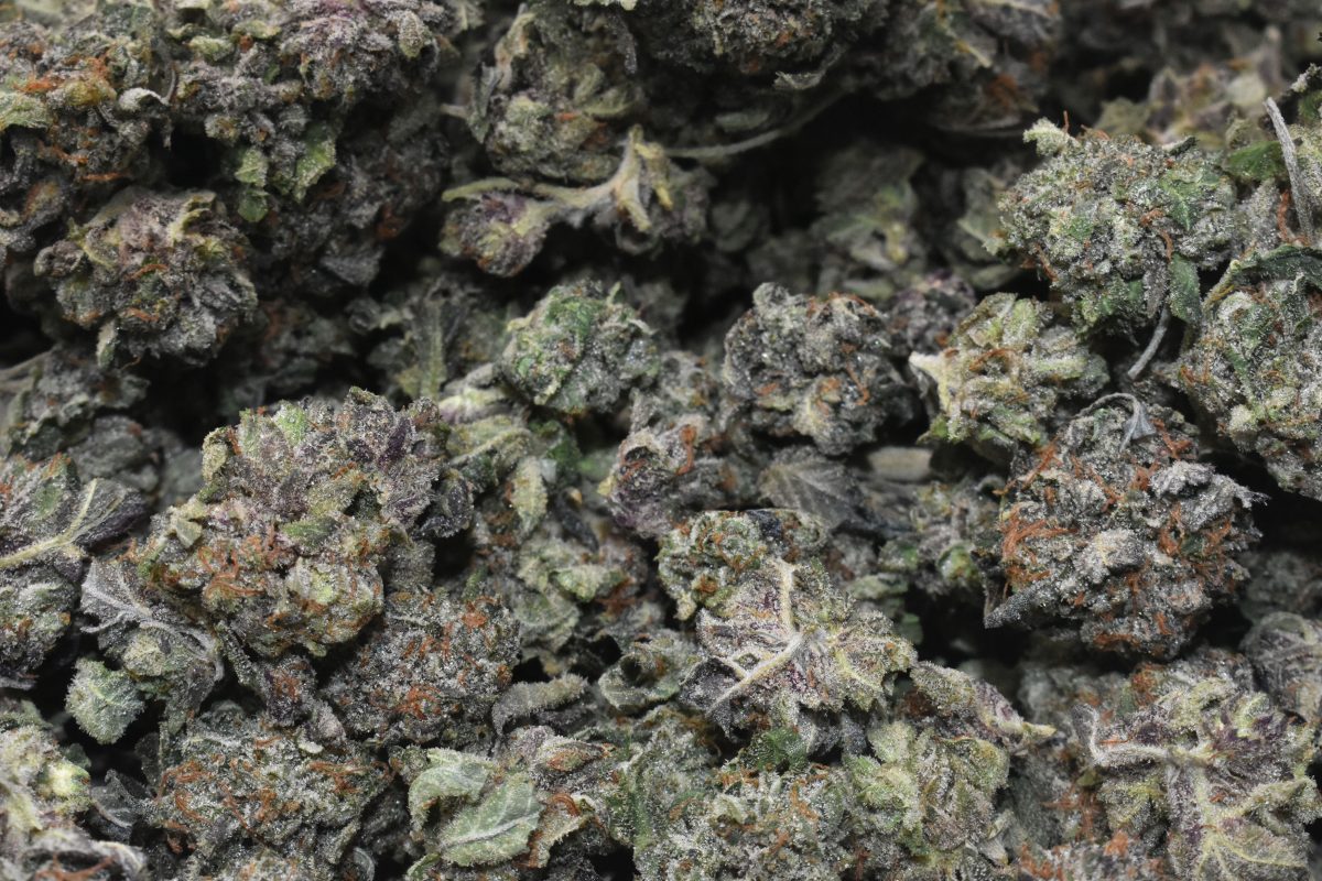 buy-purple-candy-quad-popcorns-at-chronicfarms.cc-online-weed-dispensary-in-canada