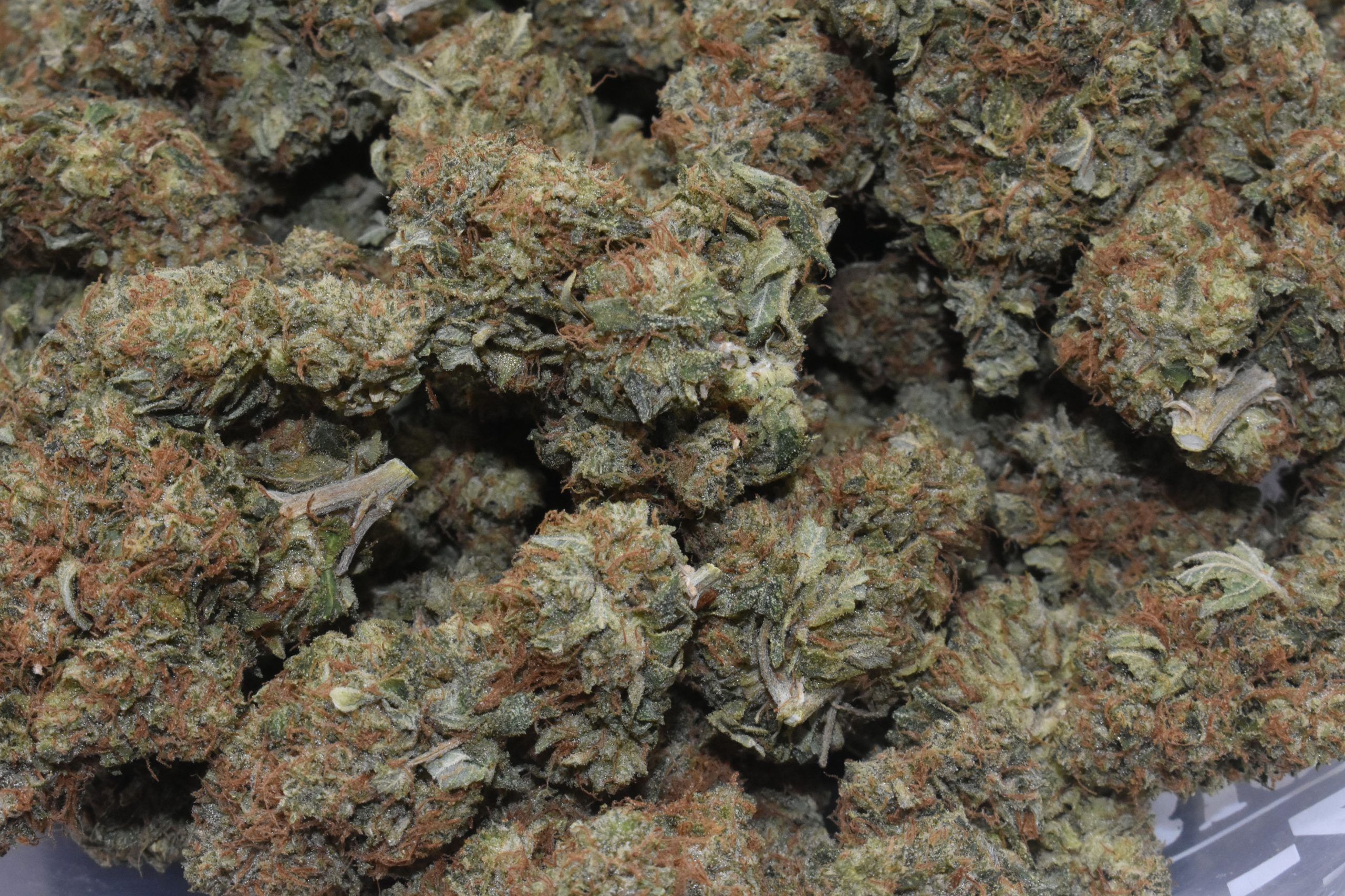 buy-afgooey-at-chronicfarms.cc-online-weed-dispensary