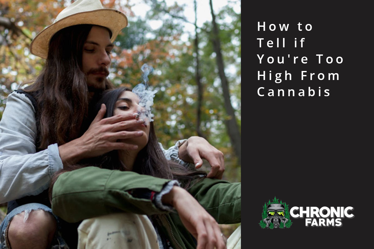 How to Tell if You're Too High From Cannabis