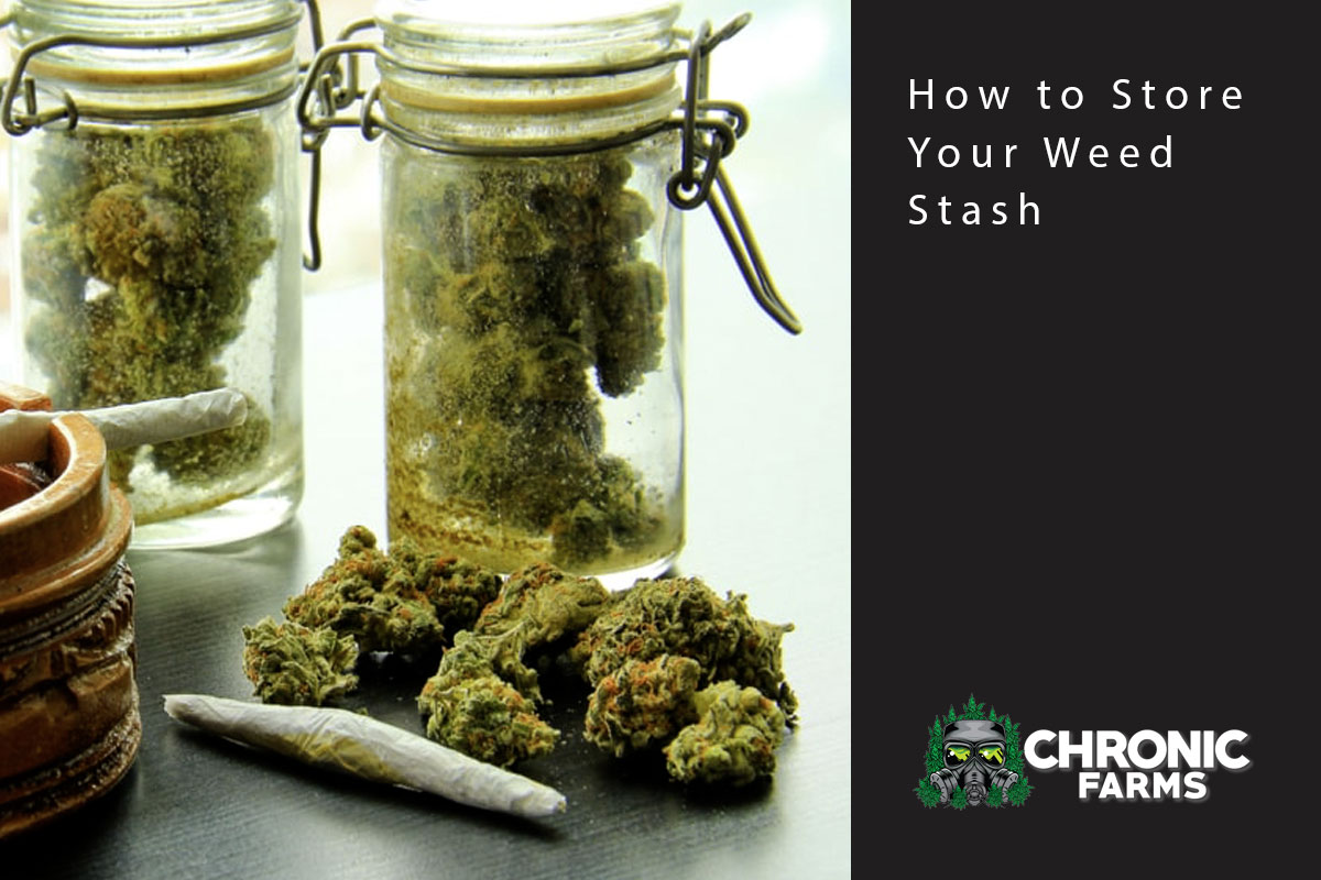 How to Store Your Weed Stash