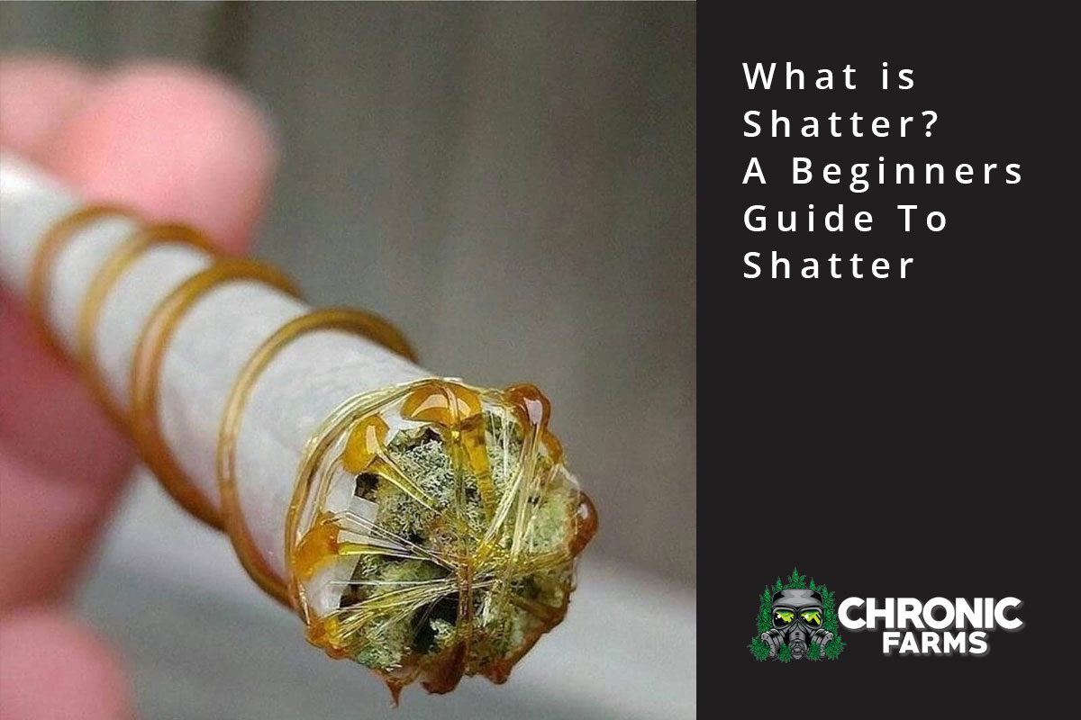 cf blog what is shatter