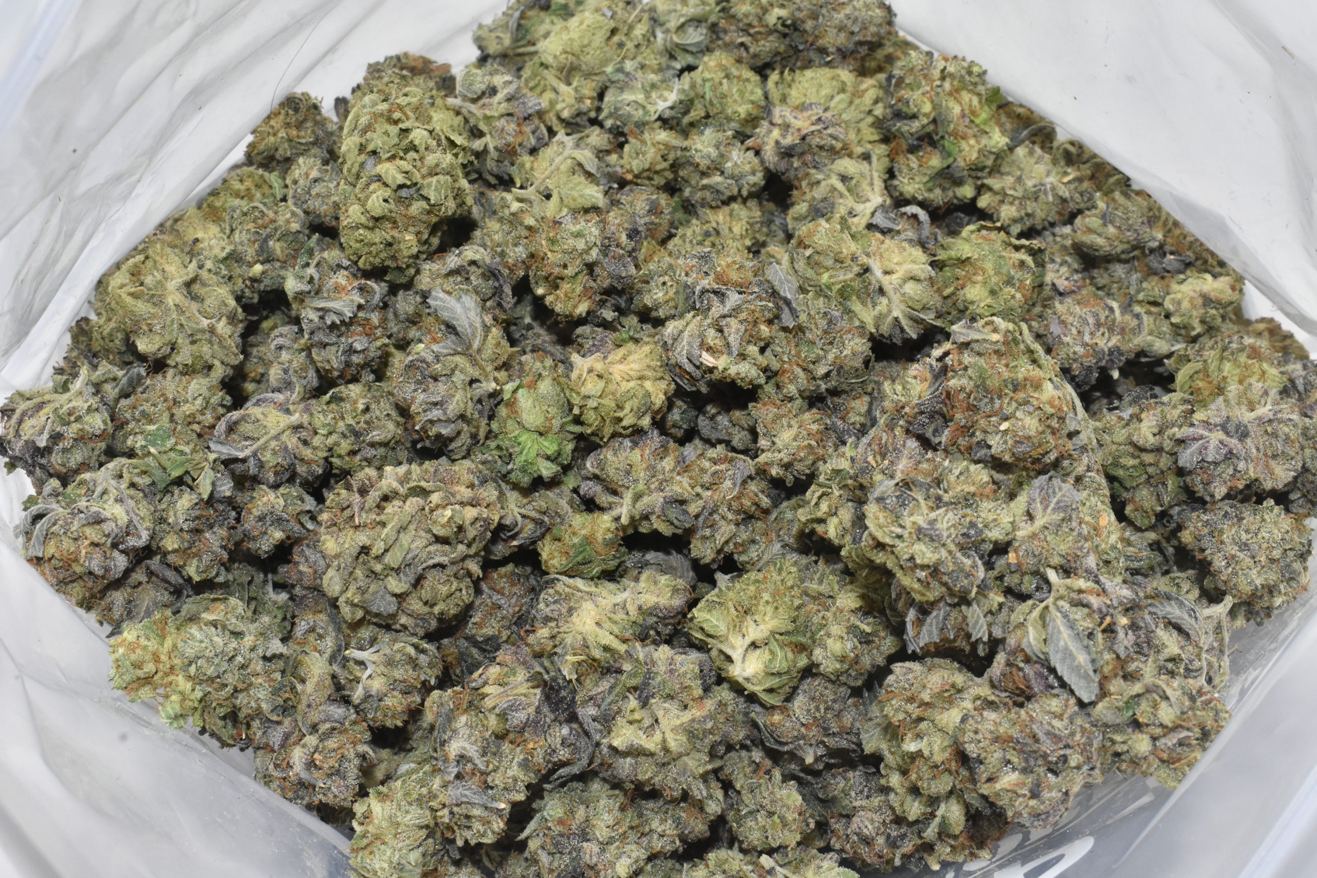 buy-dream-berry-popcorn-at-chronicfarms.cc-online-weed-dispensary