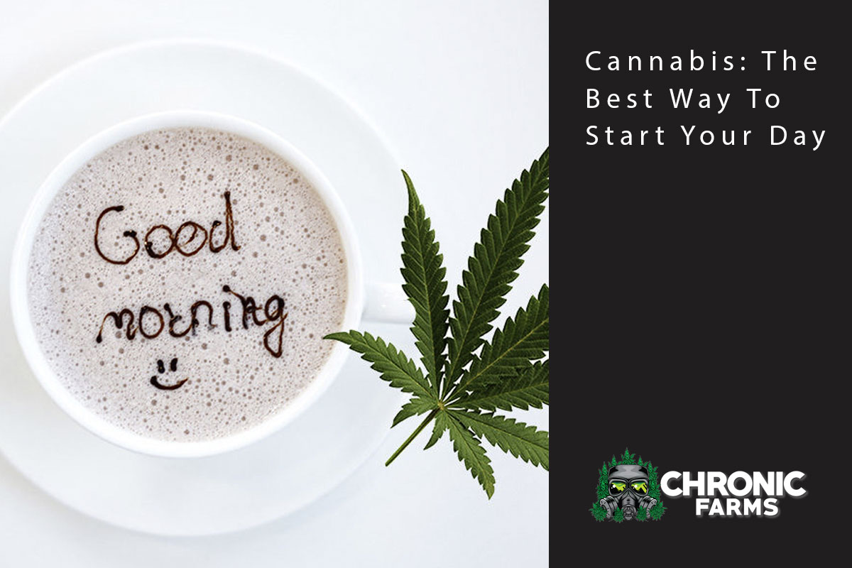 Cannabis: The Best Way To Start Your Day