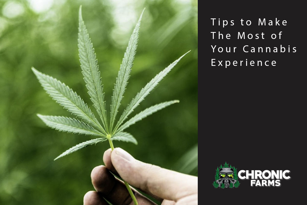 Tips to Make The Most of Your Cannabis Experience