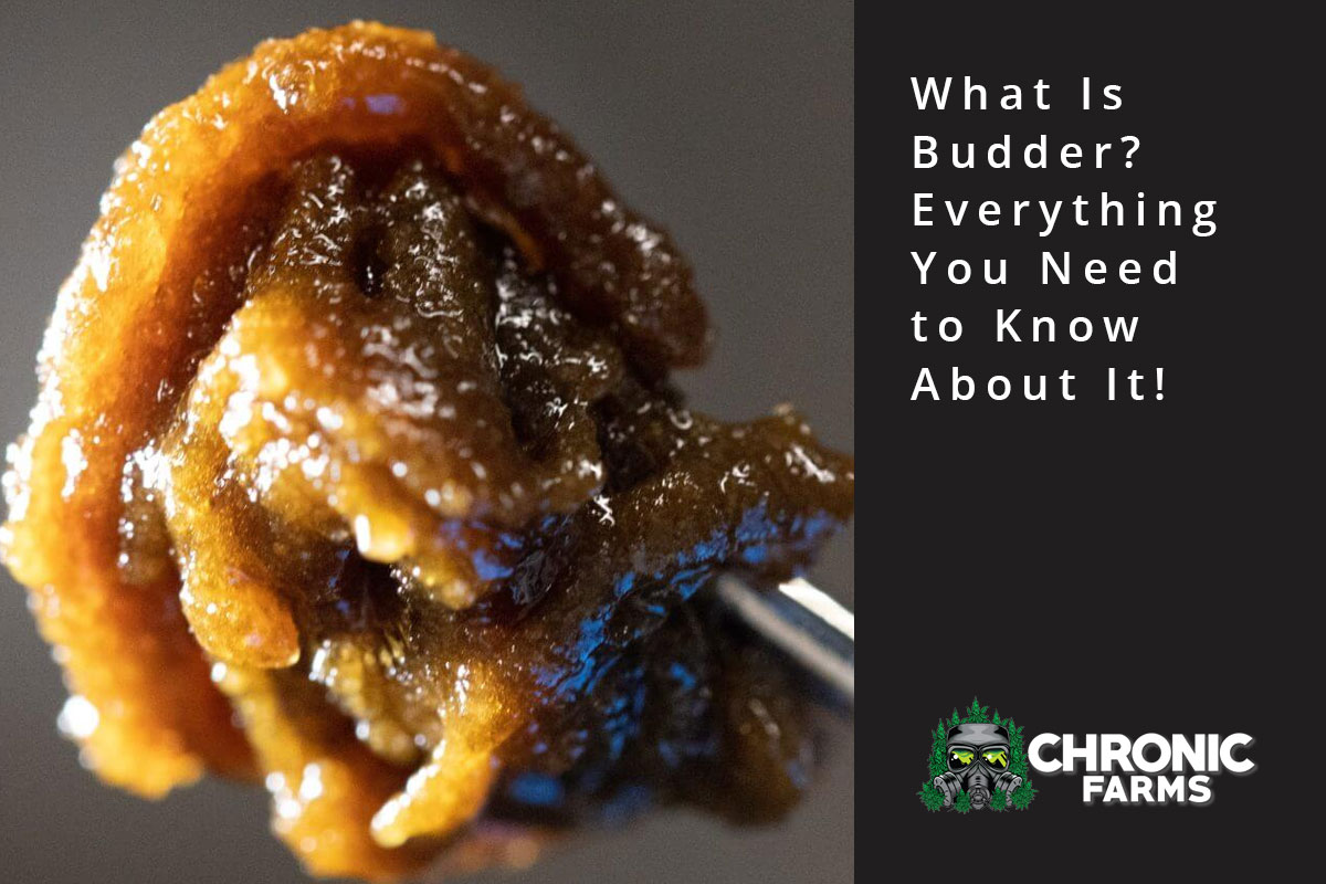 cf blog what is budder