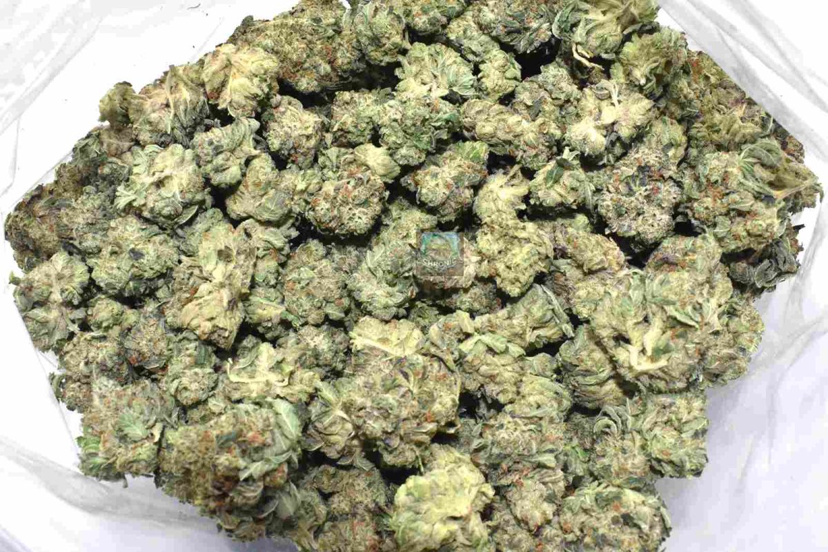 Death Star Popcorn aaa online Canada for sale online at Chronic Farms weed dispensary and mail order marijuana pot shop for BC cannabis, Alberta Cannabis, dab pen, shatter, and weed vapes.