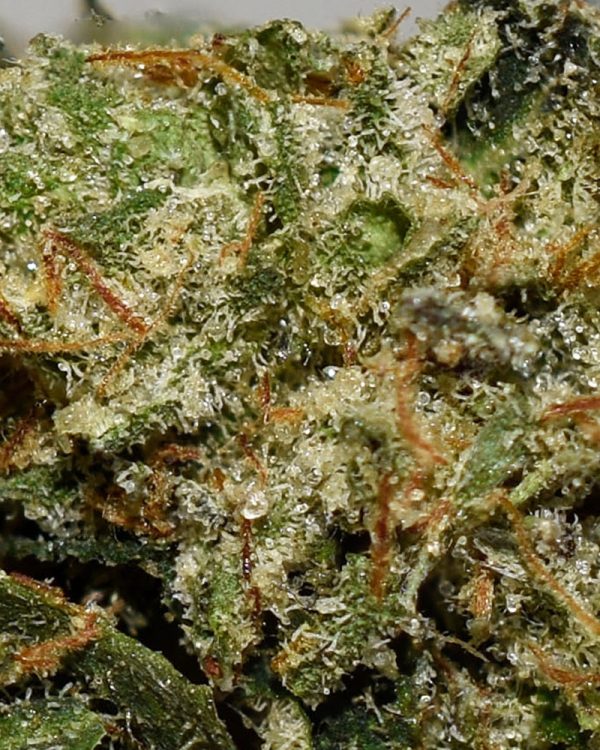 G Wagon AAAA+ Trichomes