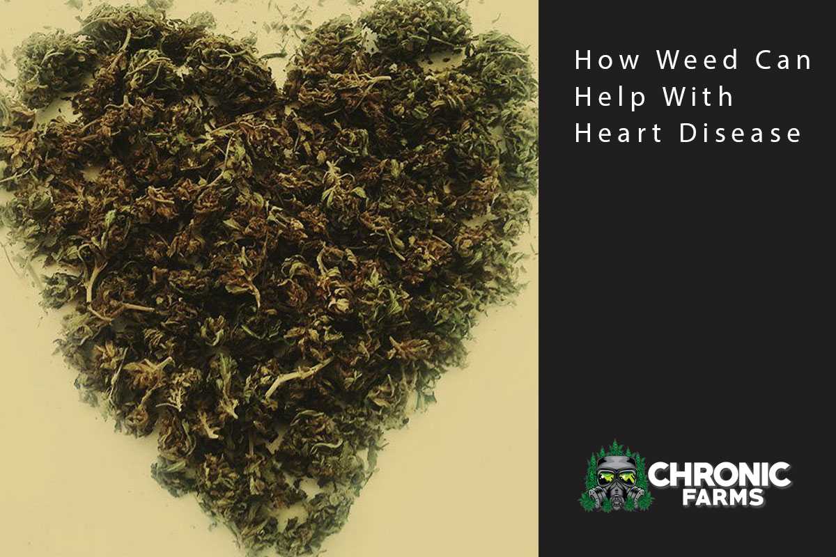 How Weed Can Help With Heart Disease