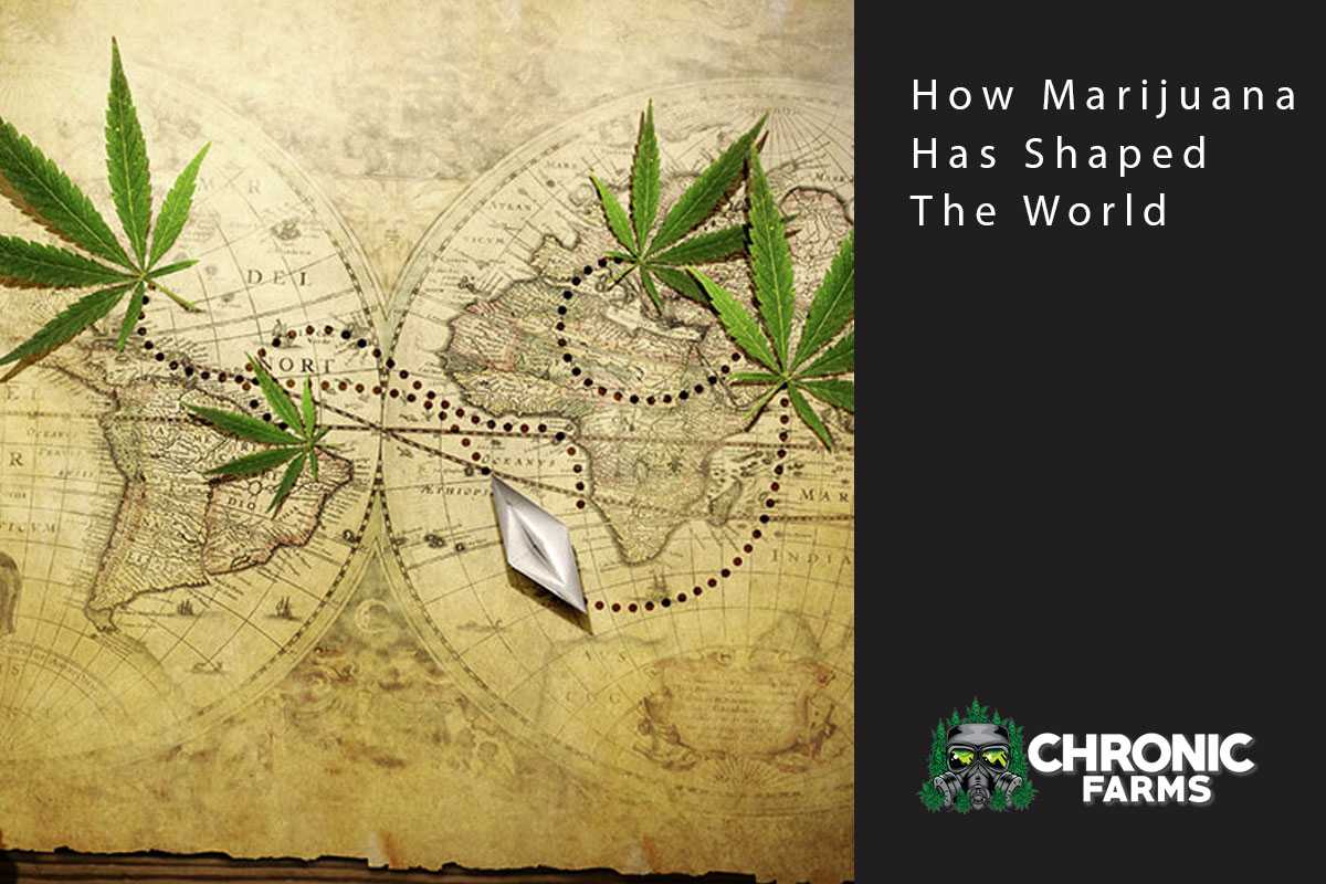 How Marijuana Has Shaped The World