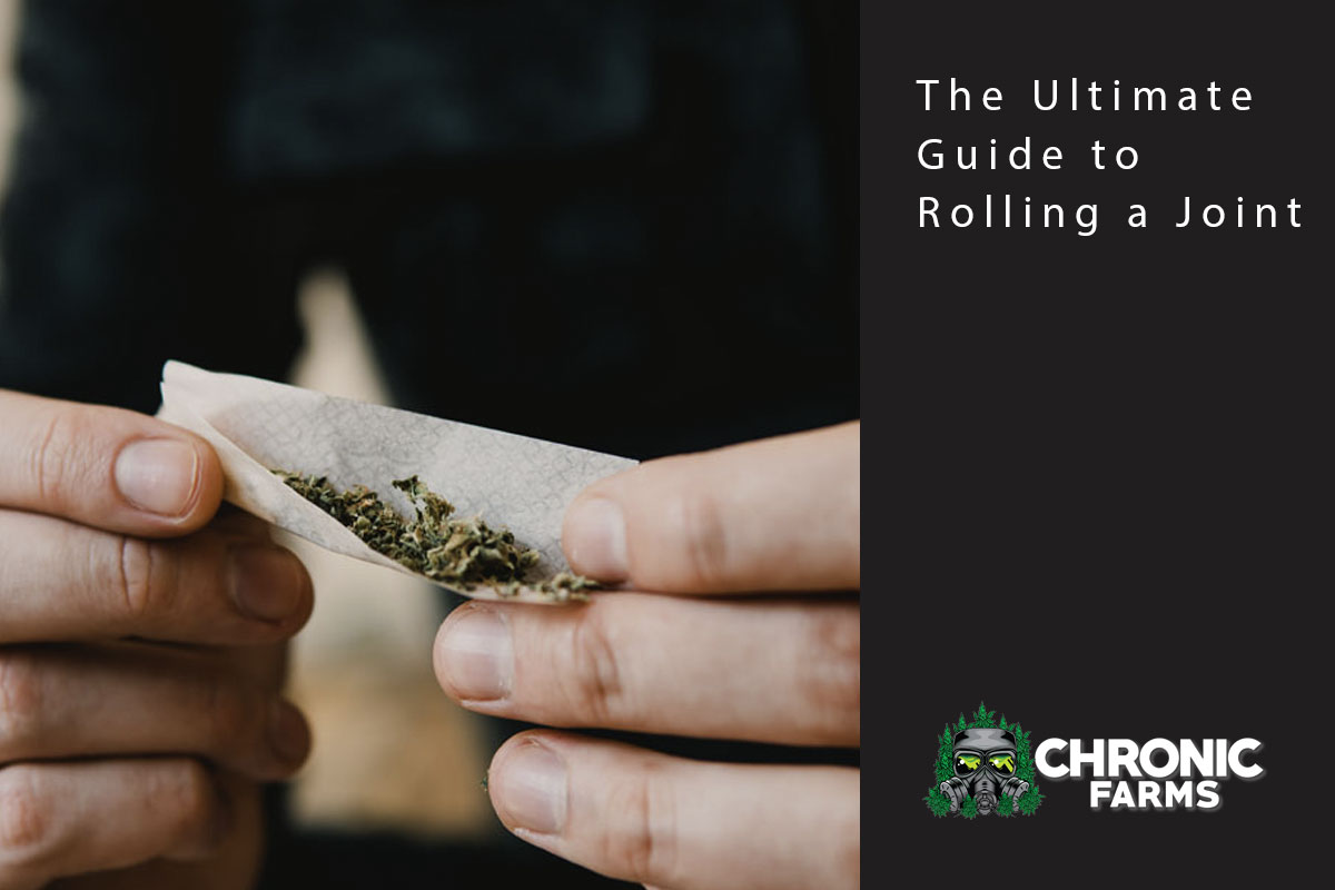 The Ultimate Guide to Rolling a Joint