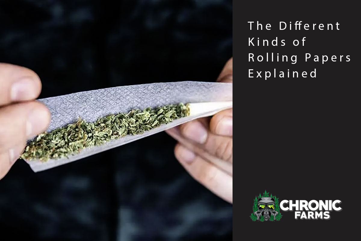The Different Kinds of Rolling Papers Explained