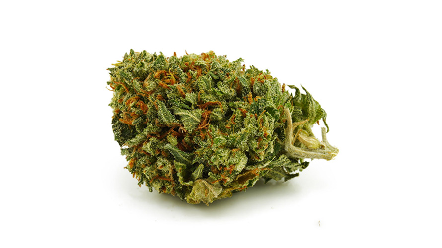 Chemo Kush weed online Canada from Chronic Farms online dispensary and mail order marijuana weed store. Buy gummys, dispensary weed, shatter, and weed candy. 