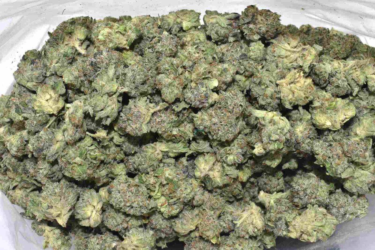 Skywalker Popcorn weed online Canada for sale online at Chronic Farms weed dispensary and mail order marijuana pot shop for BC cannabis, Alberta Cannabis, dab pen, shatter, and weed vapes.