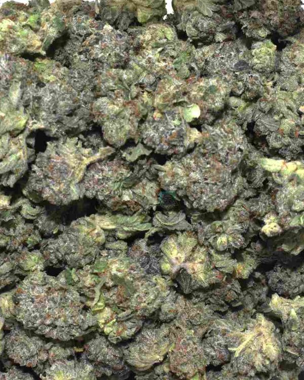 Skywalker OG Popcorn aaa online Canada for sale online at Chronic Farms weed dispensary and mail order marijuana pot shop for BC cannabis, Alberta Cannabis, dab pen, shatter, and weed vapes.
