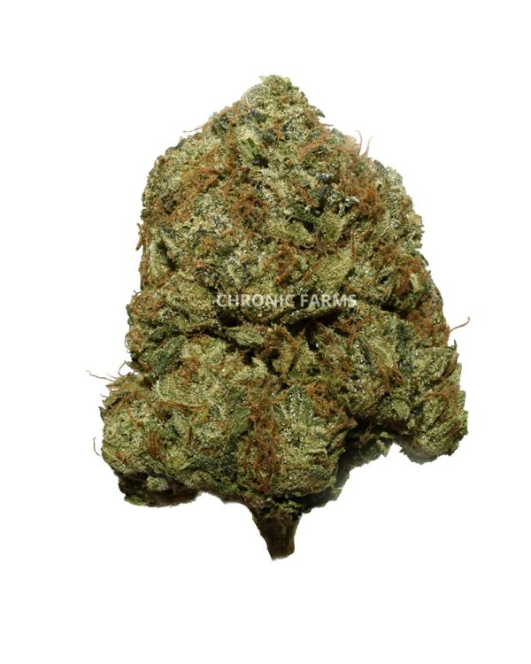 BUY-FACE-OFF-OG-AAA-FLOWER-AT-CHRONICFARMS.CC-ONLINE-WEED-DISPENSARY-IN-BC