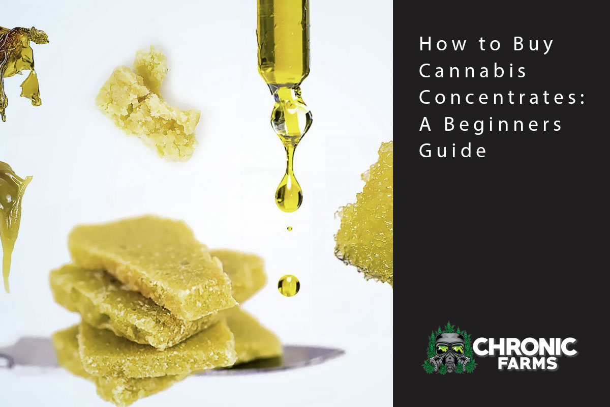 cf blog buying concentrates