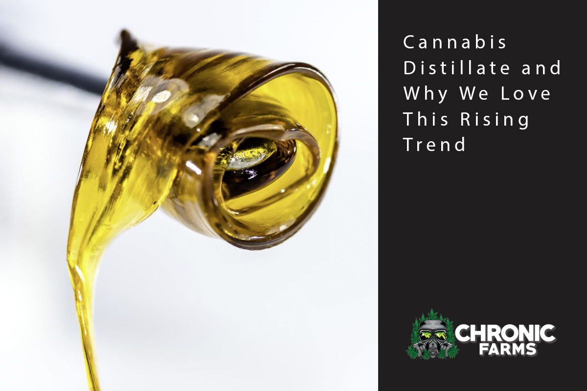 cannabis distillate