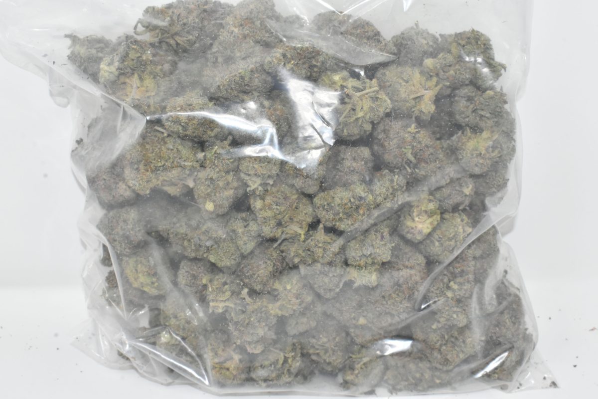 PAck of Jet Fuel aaaa online Canada for sale online at Chronic Farms weed dispensary and mail order marijuana pot shop for BC cannabis, Alberta Cannabis, dab pen, shatter, and weed vapes.