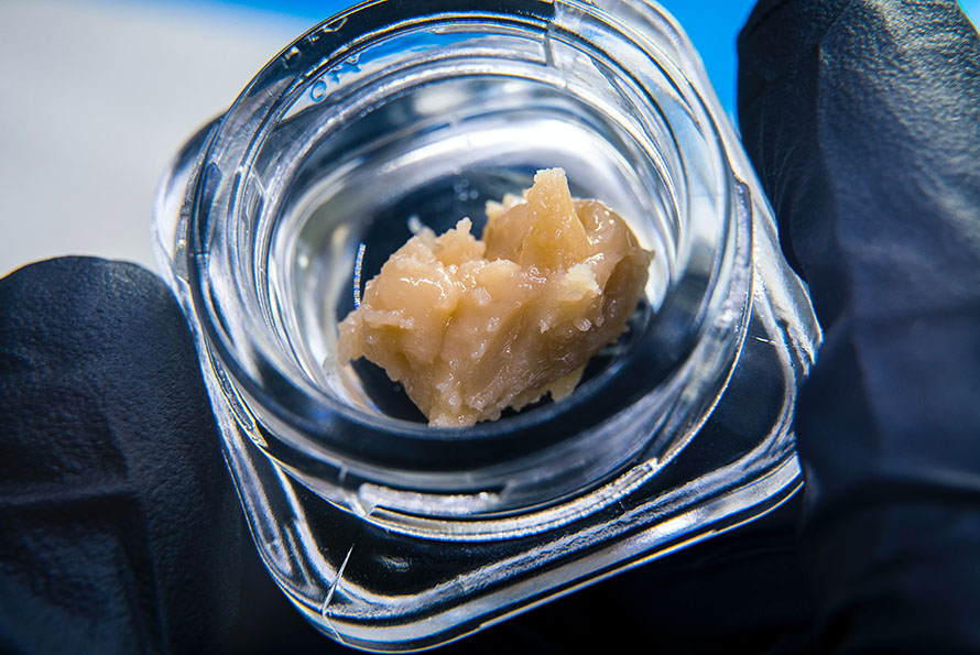 Budder weed dab drub used to learn how to take a dab of shatter concentrates from an online dispensary in Canada.