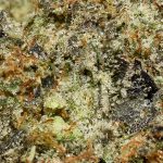 33 Splitter AAAA+ Trichomes