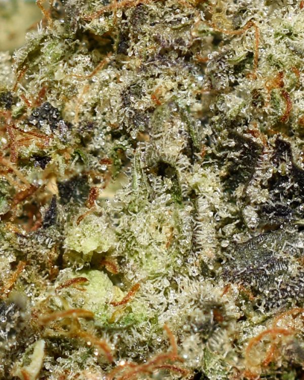 33 Splitter AAAA+ Trichomes