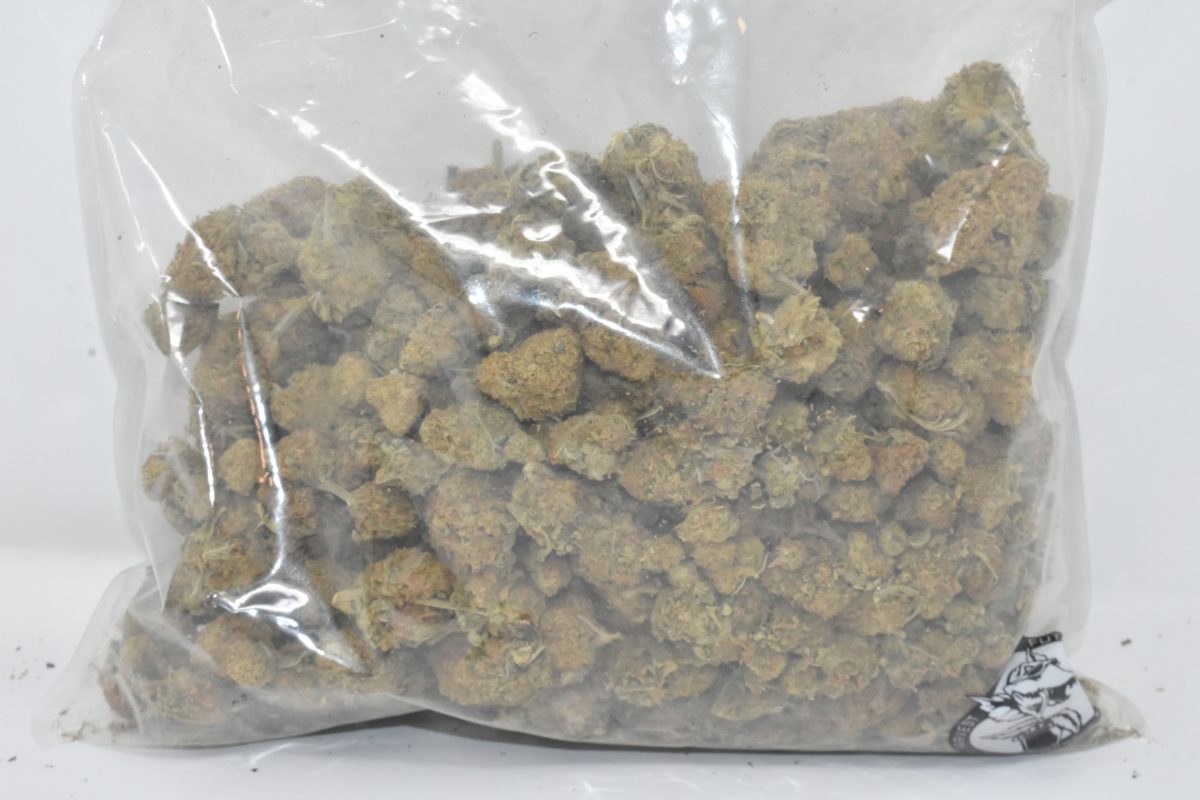 buy-agent-orange-at-chronicfarms.cc-online-weed-dispensary