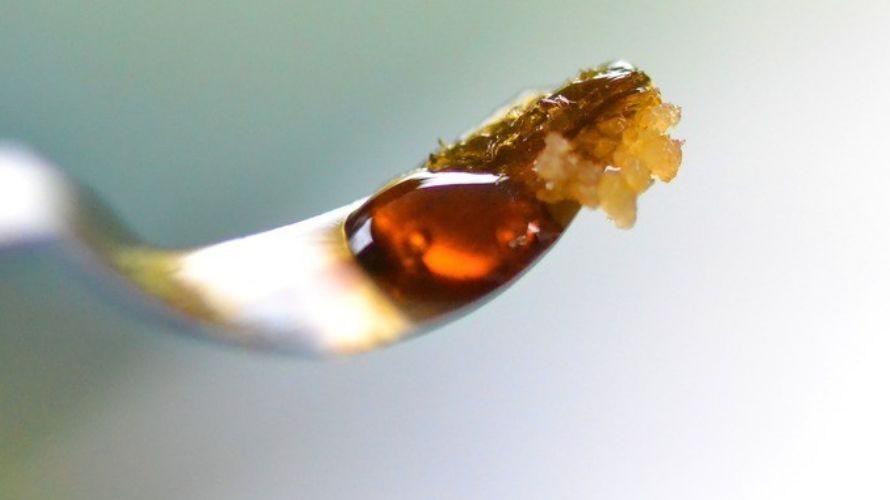 Cannabis Concentrates come in a variety of types, flavours, and strains. The ways to enjoy them are equally expansive. 