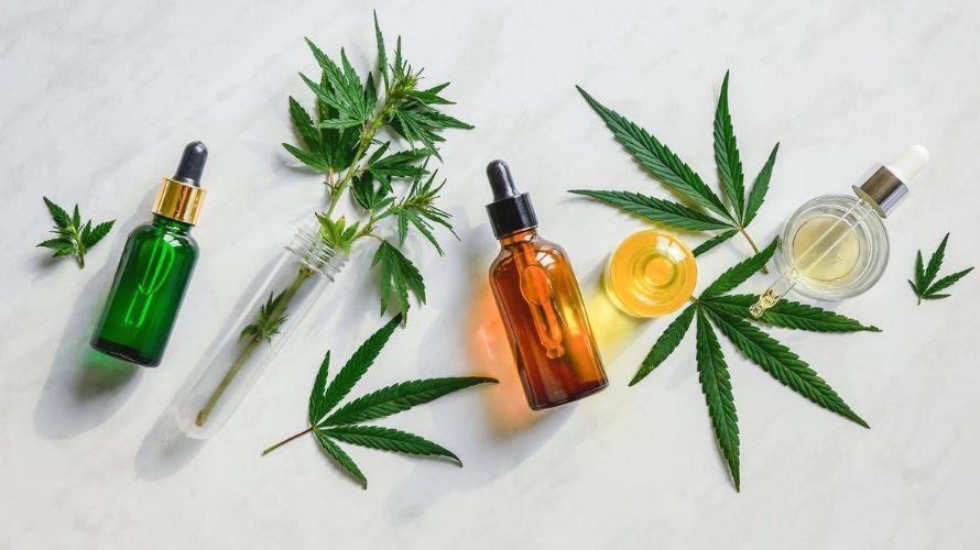 If you are new to cannabis and you want to try out THC oils, here are some helpful tips for you. 