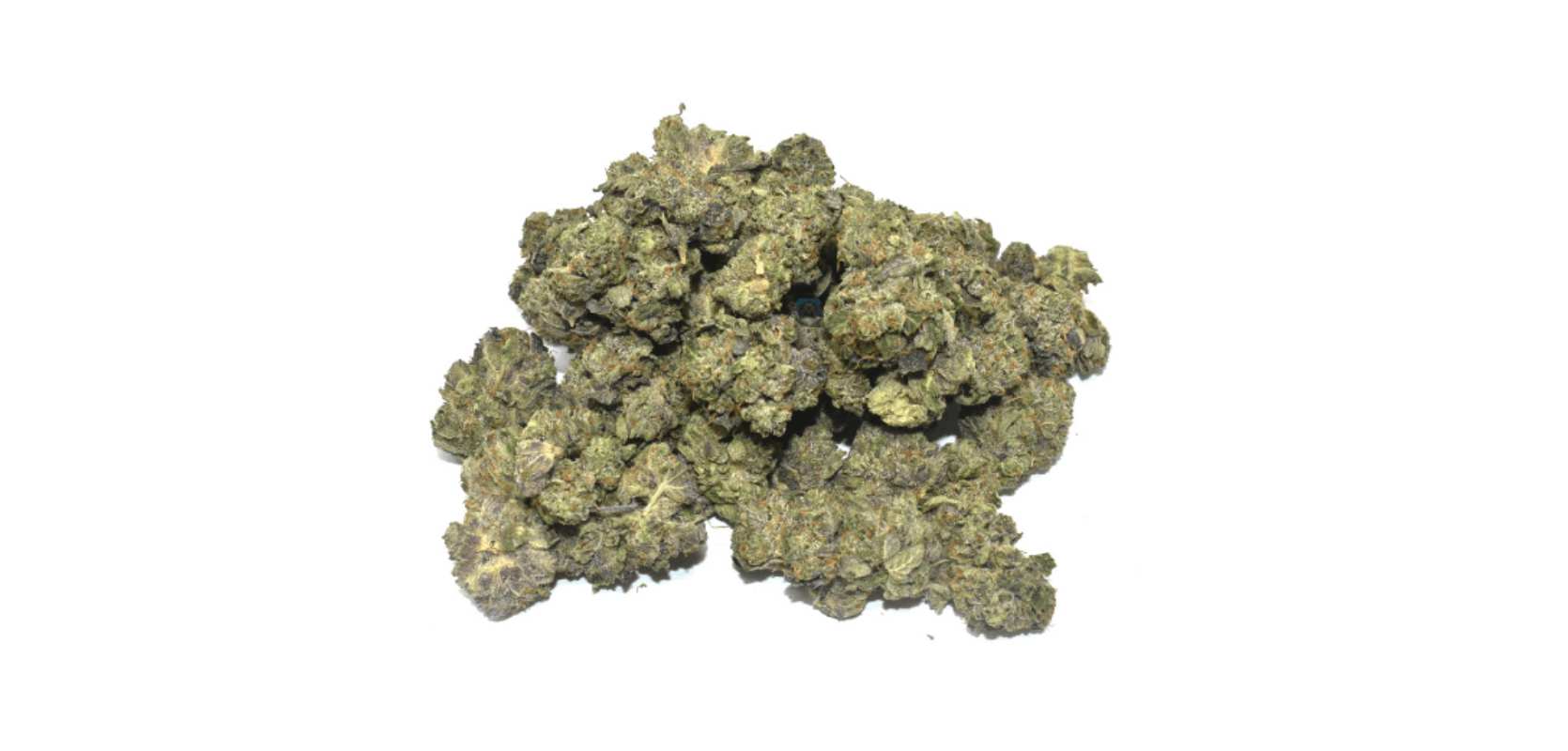 If you're looking for an Indica strain to help you relax and uplift, then Gas Face is a great choice to buy weed online in Canada from an online weed dispensary.. 